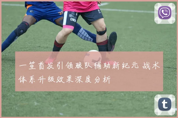 一笙首发引领狼队辅助新纪元 战术体系升级效果深度分析