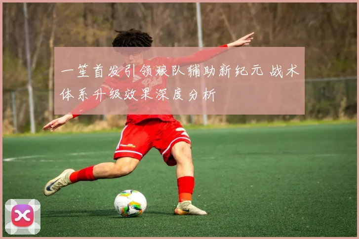 一笙首发引领狼队辅助新纪元 战术体系升级效果深度分析