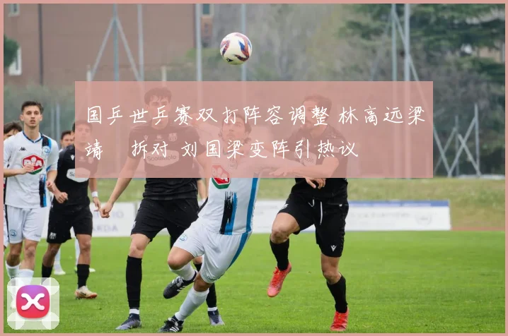 国乒世乒赛双打阵容调整 林高远梁靖崑拆对 刘国梁变阵引热议