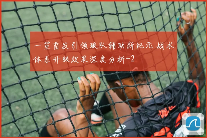 一笙首发引领狼队辅助新纪元 战术体系升级效果深度分析